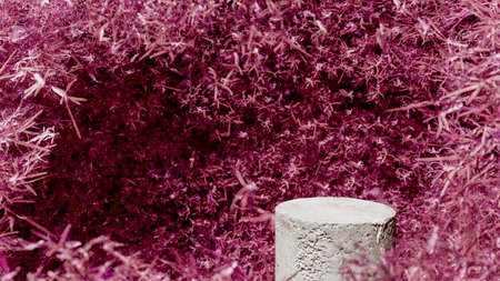 Red leaves and stone podium display. Copy space green background. Beauty cosmetics product mockup....