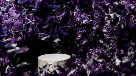 Stone podium display in the nature background of purple leaves. Copy space green background. Beauty...