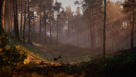 Path through dark magical forest at sunrise, beautiful old trees fantasy landscape High quality 3d illustrationの写真素材