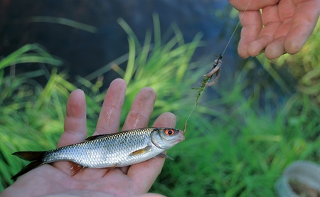 Good luck at fishing