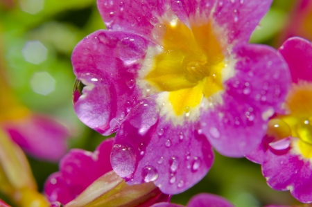 After the Rainの写真素材