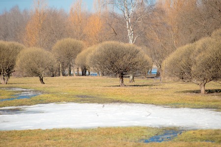 Spring Park. Melting snow drifts pastの写真素材
