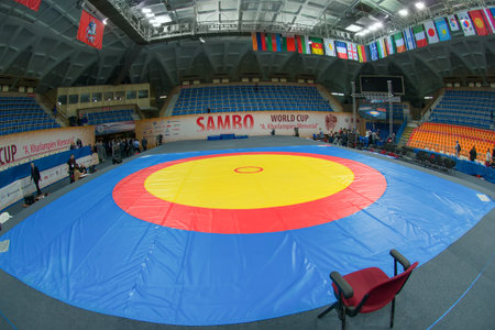 RUSSIA, MOSCOW - MARCH 27: Stadium Druzhba in wide angle view just before The World Sambo Championship Kharlampiev memorial in Luzhniki sport palace, Moscow, Russia, 2015のeditorial素材