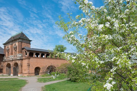 Cherry blossoms in the territory Krutitsy Patriarchal Metochion of Russian Orthodox Churchの写真素材