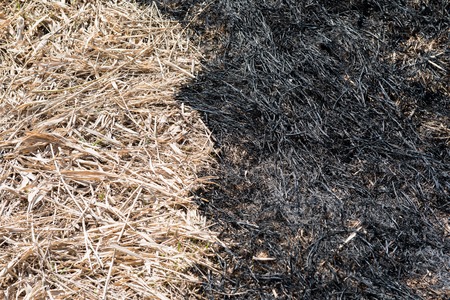 The boundary between the burnt and dry grassの写真素材