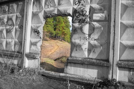 Portal to another world. Hole in an old fence in front of a beautiful forestの写真素材