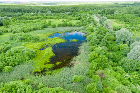 Aerial view of a rural area and lake in the middle of a forestの写真素材