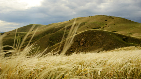 Yellow grass on a background of hills and a cloudy sky in a dayの写真素材