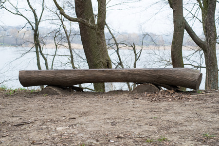 Wooden table and seats in green forestの写真素材
