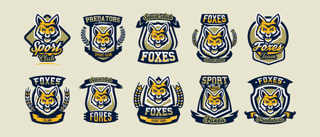 Sports design collection with fox's head illustrationのイラスト素材