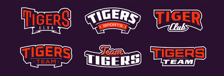 A set of bold fonts for tiger mascot logo. Collection of text style lettering for esports, mascot logo, sports team, college club logo. Font on ribbon. Vector illustration isolated on backgroundのイラスト素材