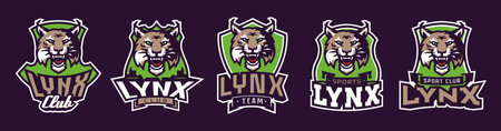 Set of sports logos with lynx mascots. Colorful collection sports emblem with lynx mascot and bold font on shield background. Logo for esport team, athletic club. Isolated vector illustrationのイラスト素材