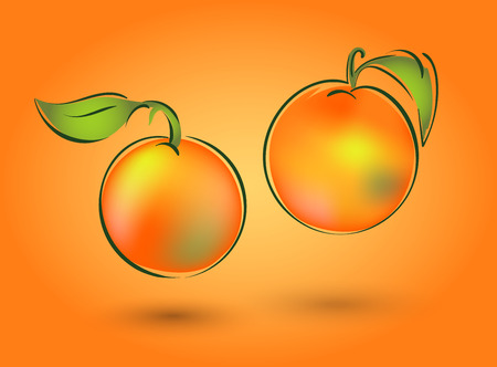 Vector illustration of a fruit. This can be a tangerine, an apple or a peach.のイラスト素材