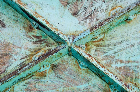 Birch rusty door.の写真素材