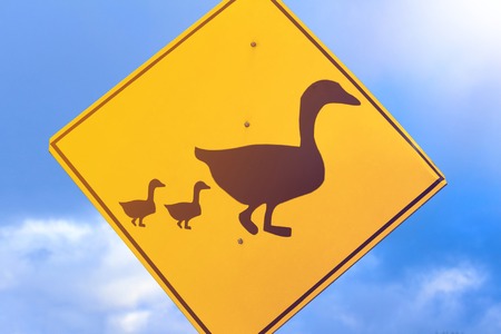 Duck crossing warning road sign. Yellow sign on the sky backgroundの写真素材