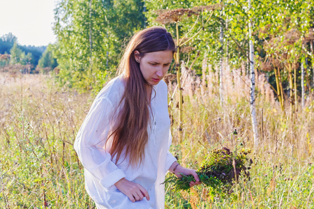 Girl collects wild flowers and herbsの写真素材