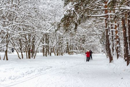 Elderly couple skis in the snow-covered woodのeditorial素材