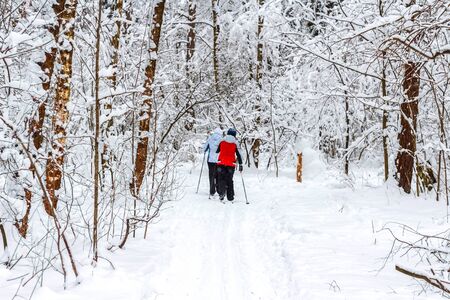 Walk in the winter forestのeditorial素材