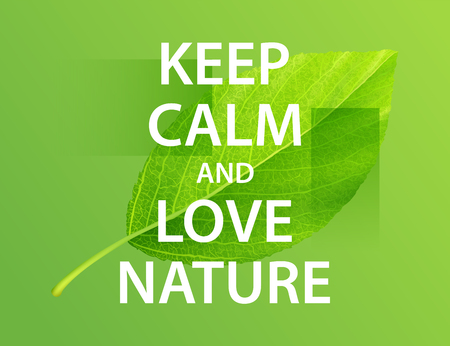 Green leaf with inscription Keep calm and love nature. Vector motivational poster about natureのイラスト素材