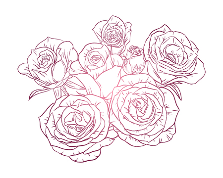 Pink rose. Line art poster for design and printのイラスト素材