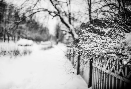 winter in the cityの写真素材