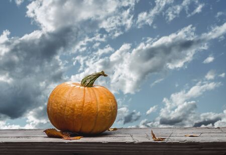 One pumpkin on an old table with autumn leaves. Evening sky with gloomy clouds. Copy space, halloween design.の写真素材
