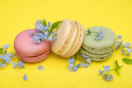 Multicolored macaroons and forget-me-not flowers on a yellow background. Top view, close-up.の写真素材