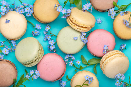 Background of forget-me-nots and macarons. French biscuit biscuits of different colors, blue background, closeup, studio shot.の写真素材