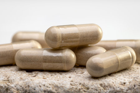 Capsules, with vegetable food additives, on a porous surface. Homeopathy, healthy eating.の写真素材