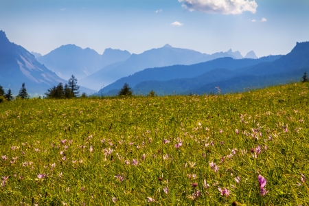 The view of  Dolomiti mountain -Cortina d Ampezzo Italy Europeの写真素材