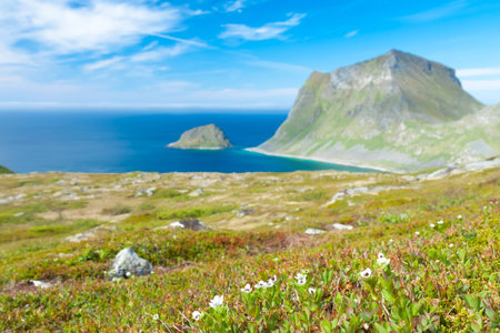 Scenic fjord on Lofoten islands with typical fishing hut and towering mountain peaksの写真素材