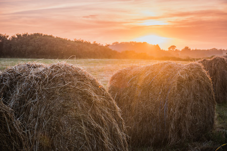 Harvest concept Haystacks on sunset  field, Brittany, Franceの写真素材