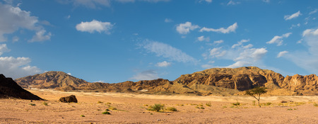 Egypt Sinai desert view  Rocky hills Blue skyの写真素材