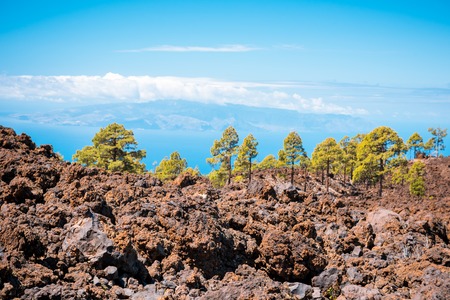 petrified lava flows of Teide volcano Roques de Garcia, Teide National park, Tenerife, Canary islands, Spainの写真素材