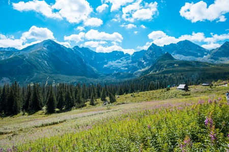 view to Tatra Mountains national park in Zakopaneの写真素材