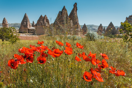 Rock formations and red flowers of Cappadocia in Central Anatolia, Turkeyの写真素材