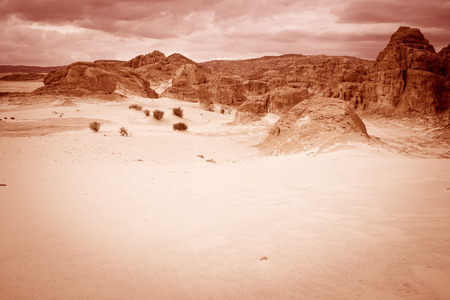 Desert landscape background global warming concept Sinai, Egyptの写真素材