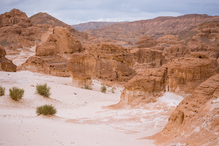 Gold arid desert landscape on Sinai, Egyptの写真素材