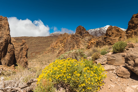 petrified lava flows of Teide volcano Roques de Garcia, Teide National park, Tenerife, Canary islands, Spainの写真素材