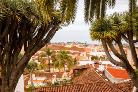 La Orotava town view, Tenerife, Canary Islandsの写真素材