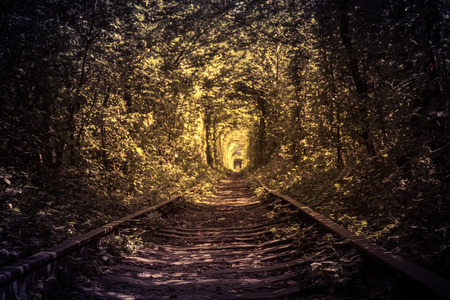 old mysterious forest and railway tunel of loveの写真素材