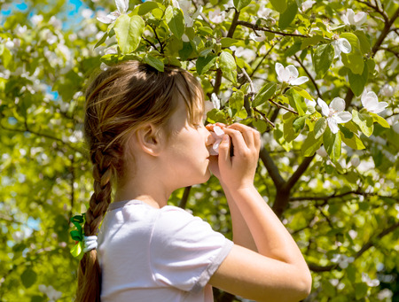 Small girl sniffs blooming apple flowers in orchardの写真素材