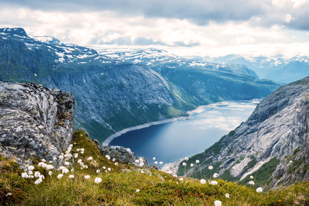 summer view to mountain bog and lake in Norwayの写真素材