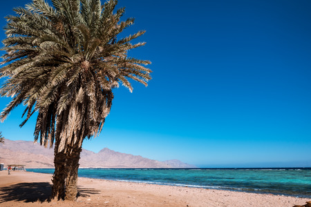 Coast of the Red Sea, in Gulf of Aqaba, near Dahab.Egypt