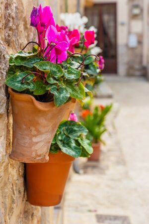Beautiful window with flower pots and colorful flowers serving as a decoration of the facade. Spanish village Valldemossa, Mallorca, Spainの写真素材