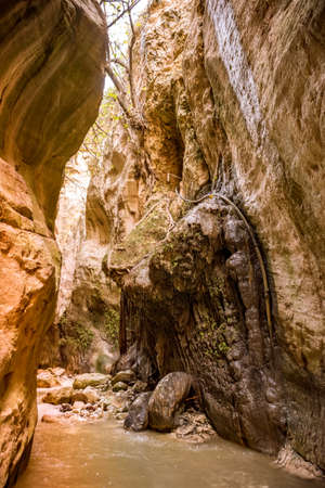 Avakas canyon, Cyprusの写真素材