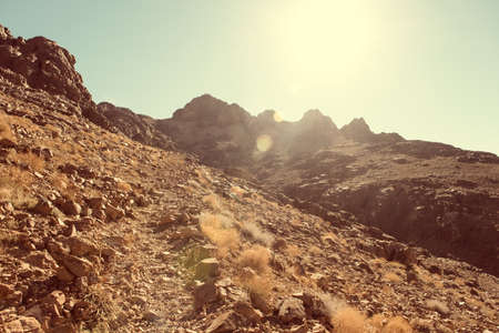 Desert landscape background global warming concept