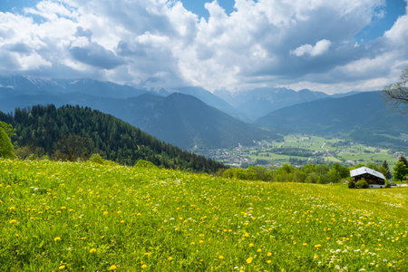 Idyllic landscape in the Alps with fresh green meadows, blooming flowers and mountain tops in the backgroundの写真素材