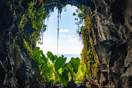 Lava tunnel and tropical vegetation on the island of Madeira. Levada trail is tourist attraction of popular resortの写真素材