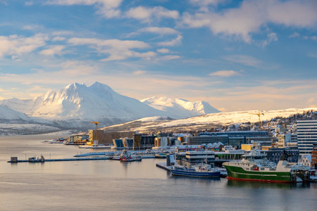 Panorama of norwegian city of Tromso in the winter. Snowy roofs, embankment near the port and...